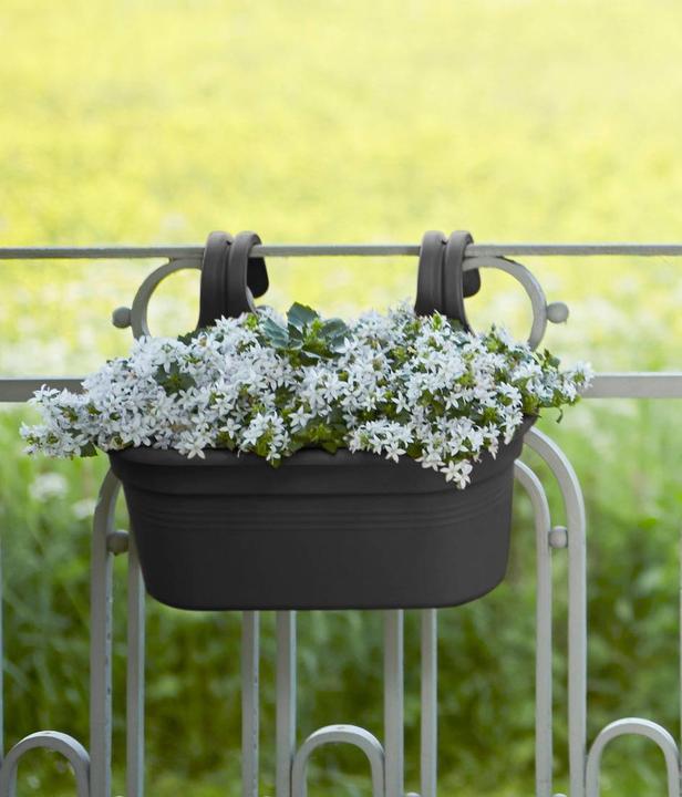 Productafbeelding Elho Easy Hanger Green Basics (26.30 cm)