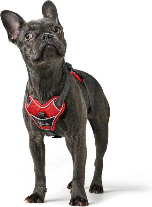 Productafbeelding Hunter Divo servies (M, Hond, Algemeen)