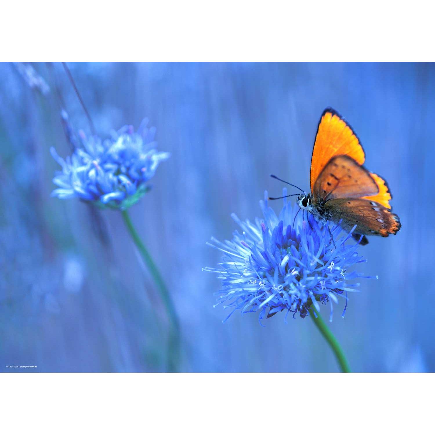 CoverYourDesk, Unterlage, Schreibtischunterlage Orangener Schmetterling