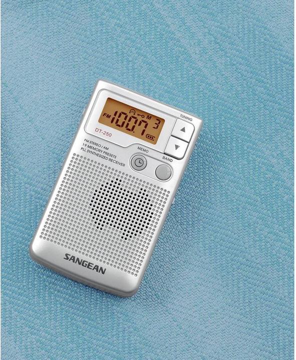 Actual product image Sangean Dt-250 (FM, AM, MW)