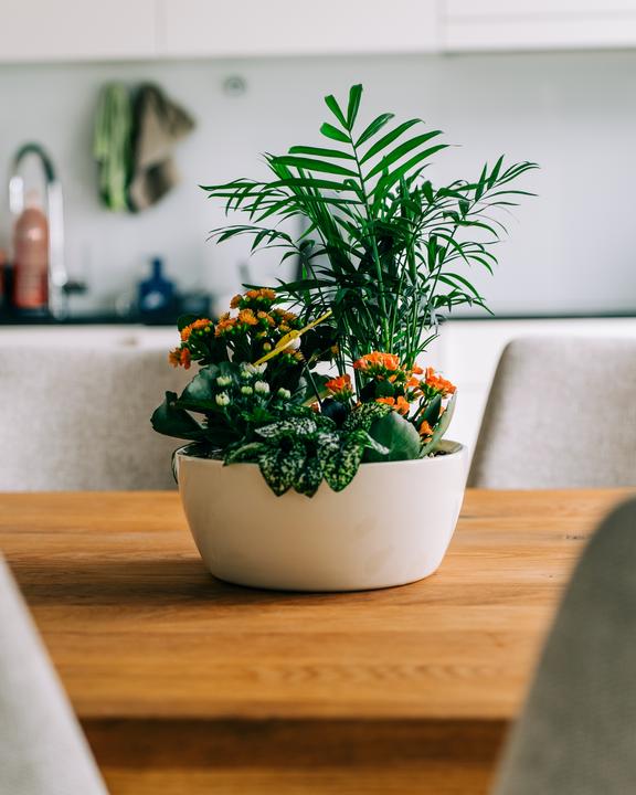 Immagine prodotto Migros Ostschweiz Fioriera grande piantata (46 cm)