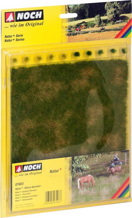 Actual product image Noch 07403