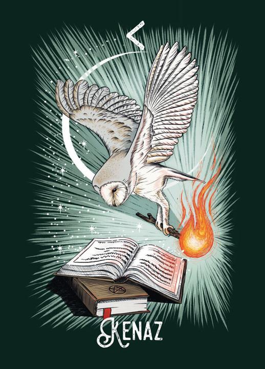 Produktbild Das Krafttiere Runen Orakel (Deutsch, Athene Noctua, 2024)