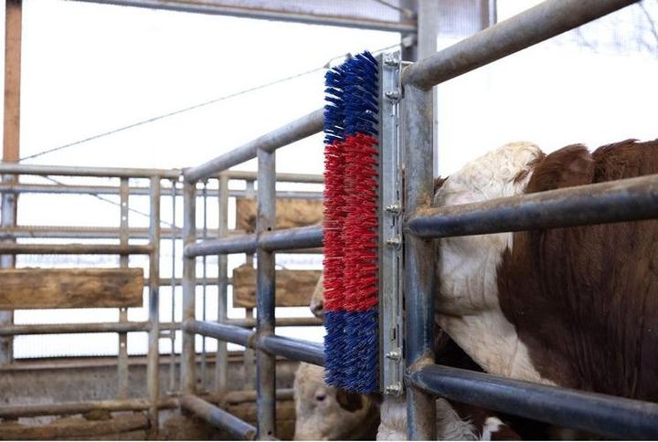 Actual product image Kerbl Scratch (90 cm)