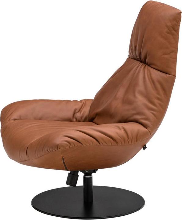 Actual product image Janus