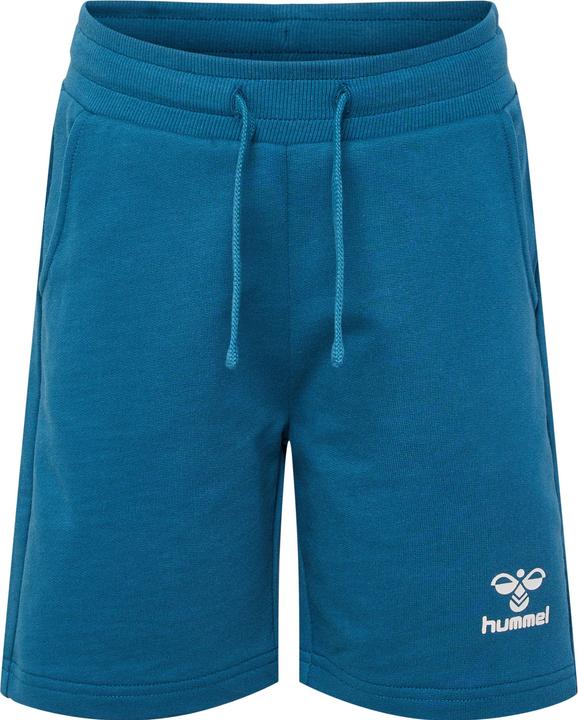 Image du produit hummel Hmlflow Shorts (152)