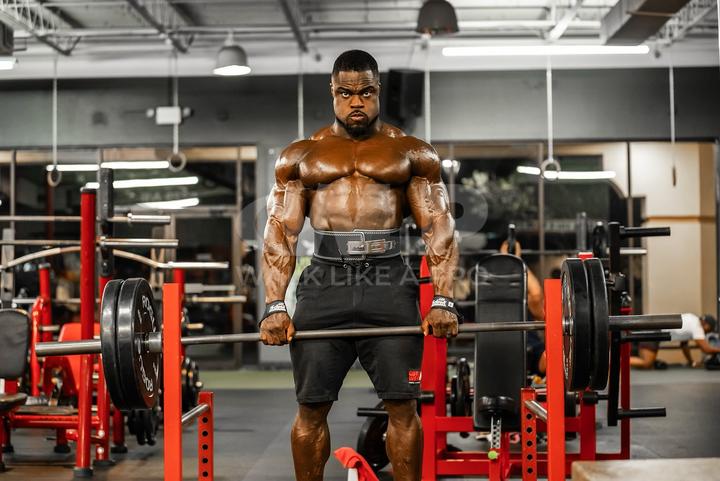 Actual product image Schiek Lifting Straps
