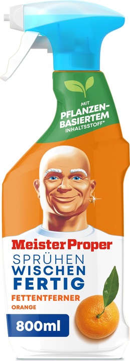 Meister Proper Sprühen-Wischen-Fertig