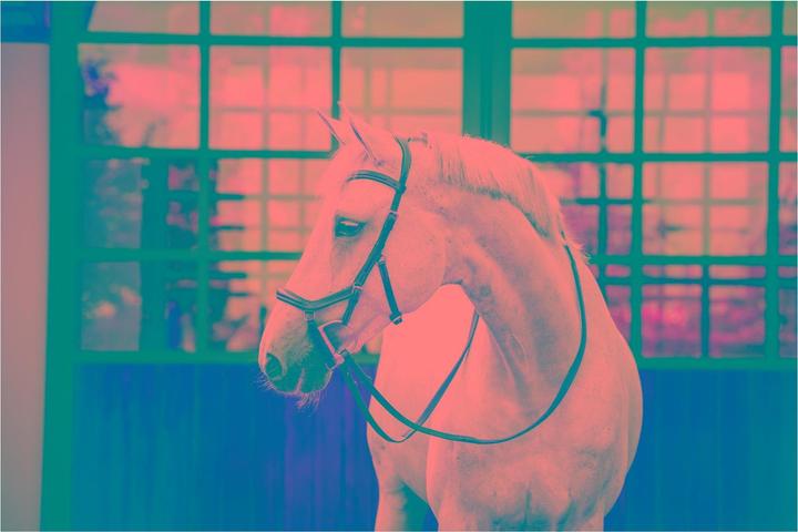 Produktbild Horseware Zaum Micklem Deluxe