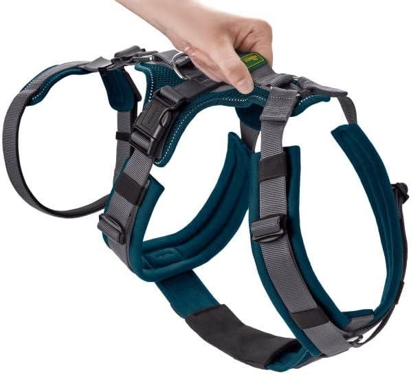 Actual product image Hunter Safety harness (Dog, Walks)
