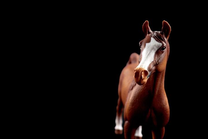 Produktbild Schleich Araber Stute 1:12