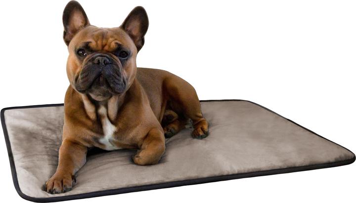 Actual product image Aspero Dog blanket Lund (Dog)