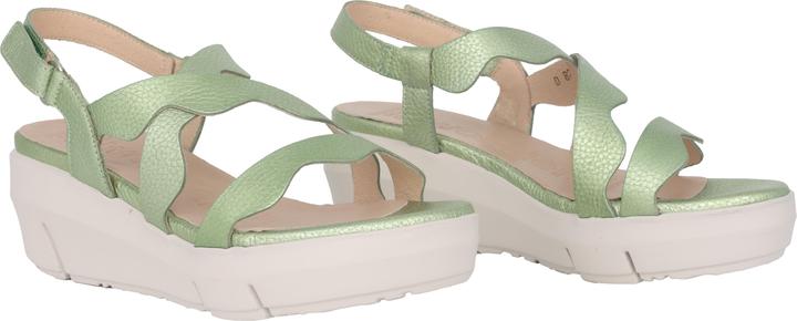 Actual product image Wonders Max (42)