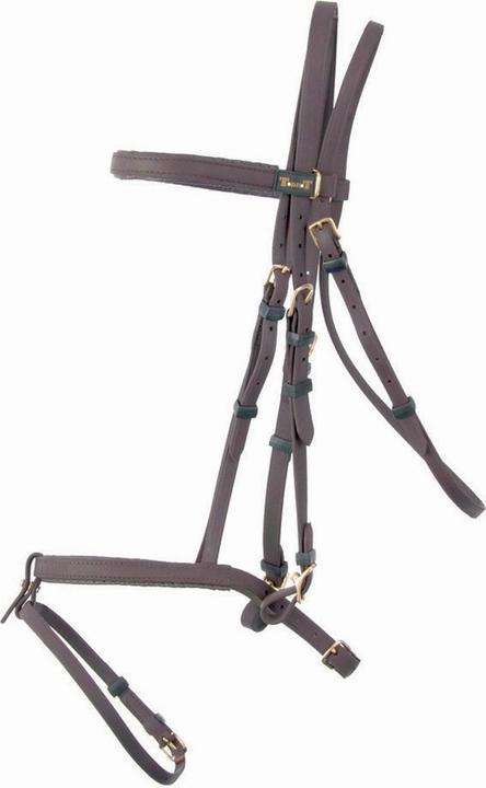 Actual product image TdeT Biotack®