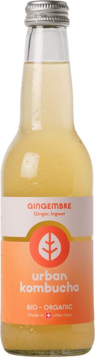Produktbild Urban Kombucha Gingembre (1 x 33 cl)