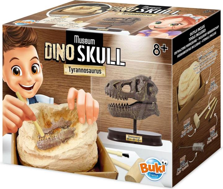 Actual product image Buki Experiment kit dinosaur skull - Tyrannosaurus
