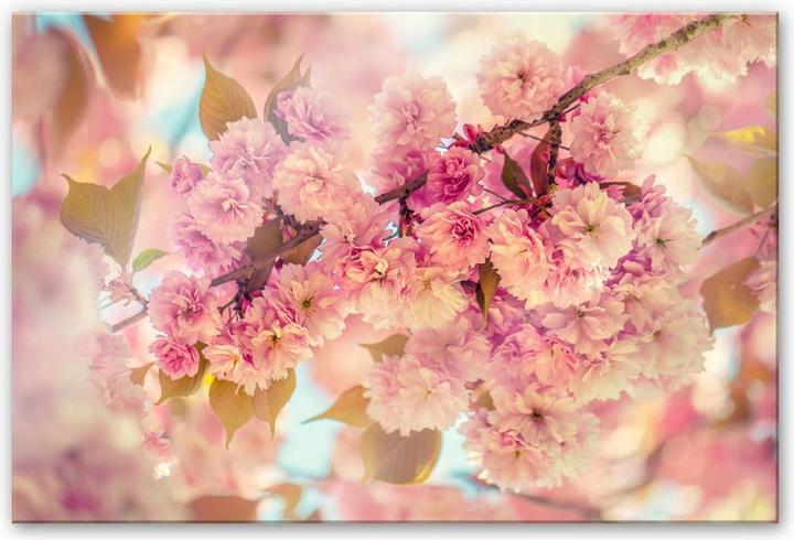 Produktbild Trenddeko Kirschblüten (60 x 40 cm)