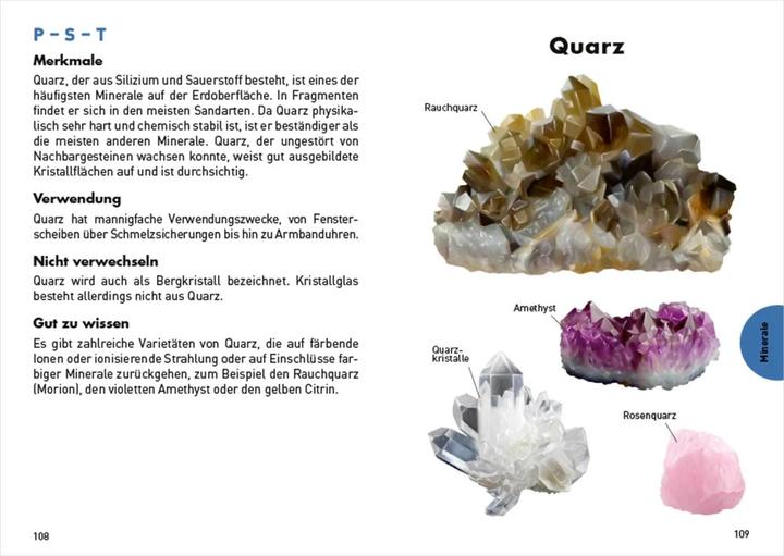 Produktbild Taschenführer Gesteine und Minerale. 70 Steine entdecken und bestimmen (Deutsch, Patrick De Wever, 2022)