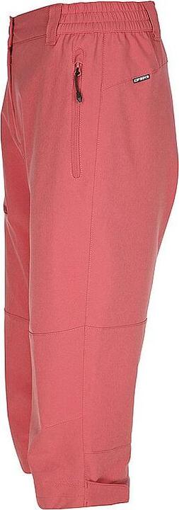 Produktbild Icepeak Wandershorts Beattie Capri (46)