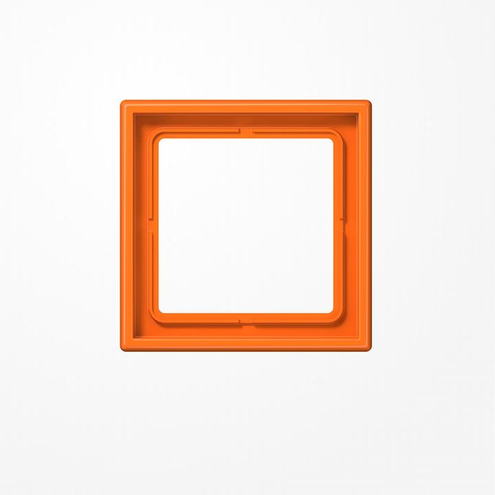 Actual product image JUNG Frame