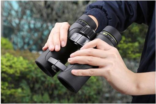 Produktbild Vanguard Endeavor ED II 8x42 (8x, 42 mm)