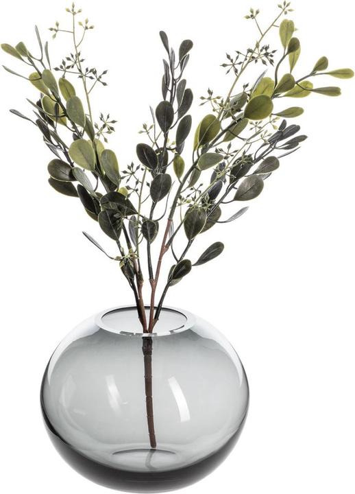 Actual product image Fiebiger Sedum (42 cm)