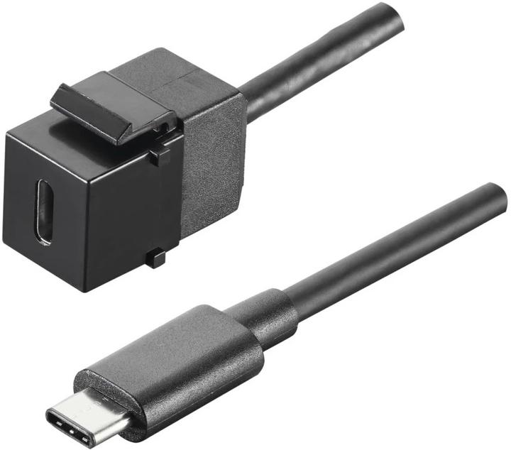 Produktbild Bachmann Keystone Type C 3.1 with cable whip side 1 USB C socket side 2 USB C plug (USB-C, 0.50 m)