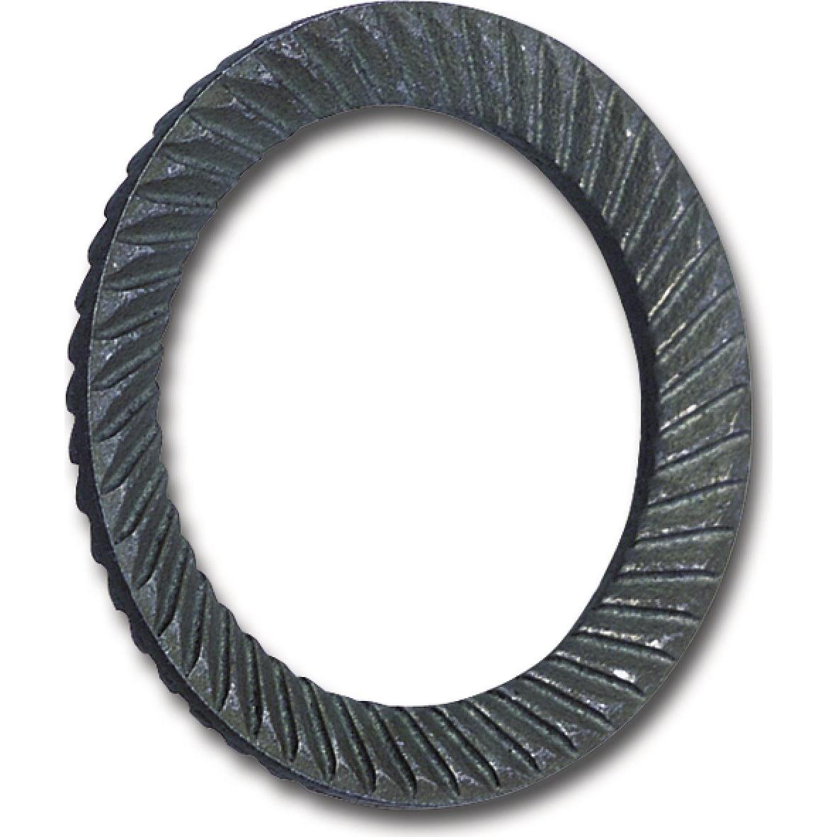 Schnorr, Muttern + Unterlegscheiben, Schnorrscheibe (Sicherungsscheibe) "S" für ø M16 Federsthal blank geschwärzt (M16)