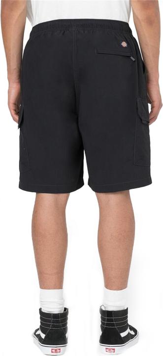 Actual product image Dickies Jackson Cargo Shorts (S, L)