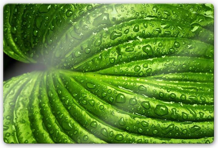 Produktbild Trenddeko Nach dem Regen (60 x 40 cm)