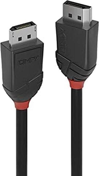 Lindy DisplayPort — DisplayPort (2 m, DisplayPort, 1.2)