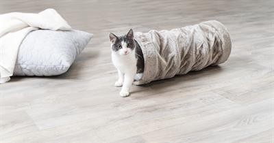 Actual product image Trixie Play tunnel (Cat tunnel)