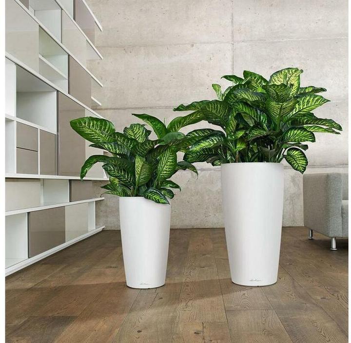 Produktbild Lechuza RONDO Premium. (32.50 x 32.50 x 56.50 cm)
