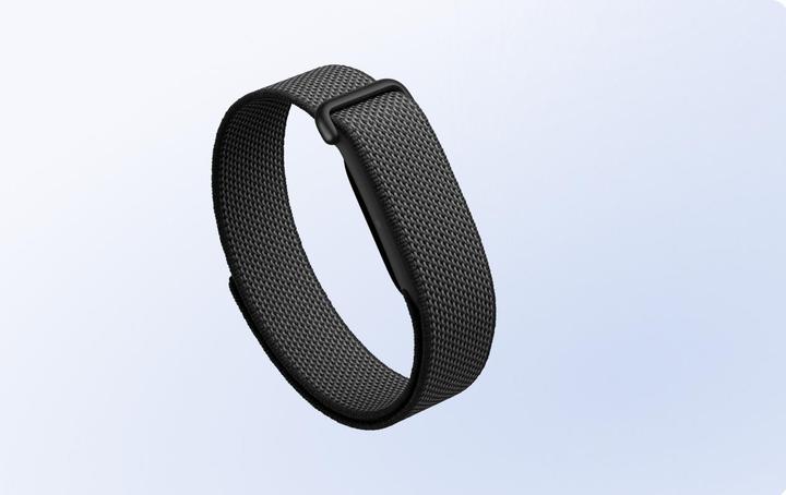 Immagine prodotto Google Fitbit Air (34.90 mm)