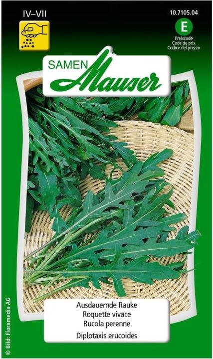 Produktbild Samen Mauser Ausdauernde Rauke (Kräutersamen)