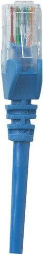 Image du produit Intellinet Câble réseau, Cat5e, U/UTP (U/UTP, CAT5e, 1 m)