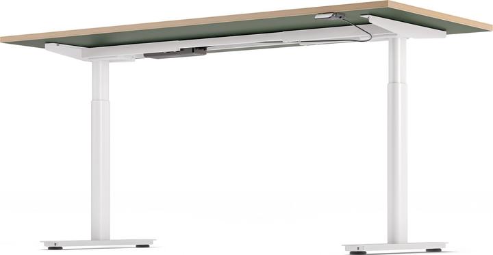 Image du produit ofinto Rise