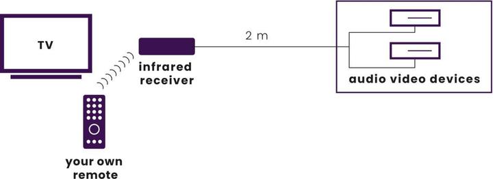 Actual product image Marmitek Invisible Control 2 (Remote control)