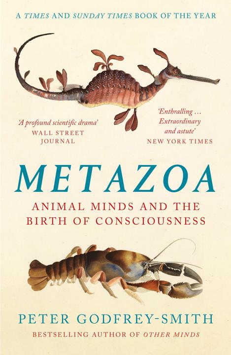 Metazoa (Englisch, Peter Godfrey-Smith, 2021)