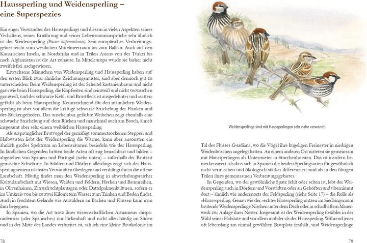Produktbild Mehr Platz für den Spatz! (Deutsch, Christopher Schmidt, Uwe Westphal, 2017)