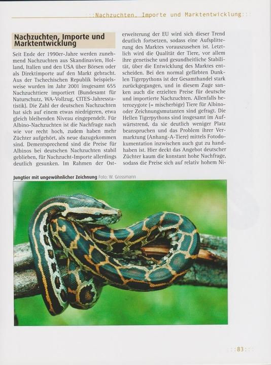 Produktbild Tigerpython (Deutsch, Henry Bellosa, 2017)