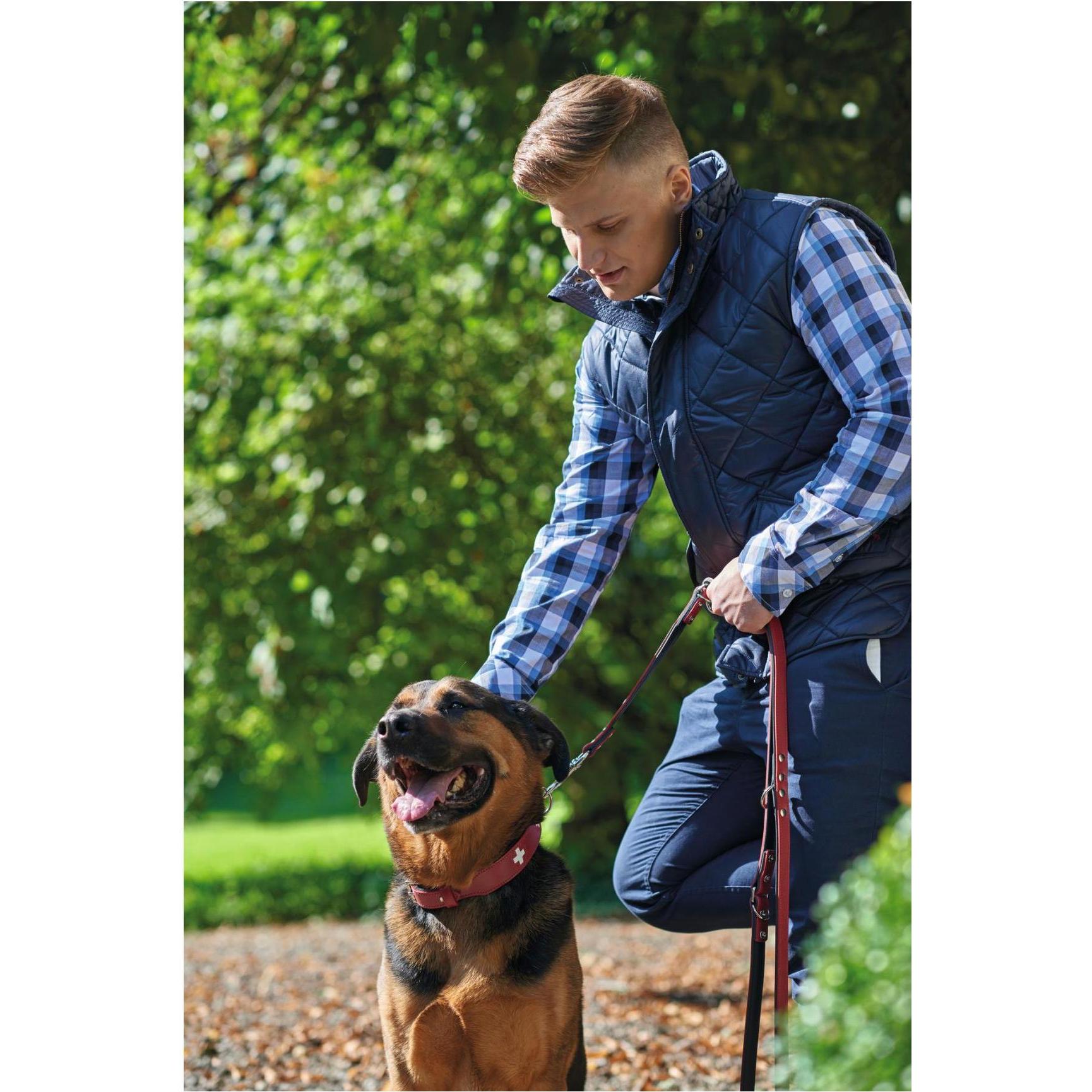 Thumbnail - Hunter Swiss (Hund, Spazieren), Halsband + Leine
