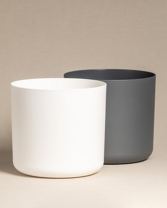 Actual product image feey Lumi (25.20 cm)