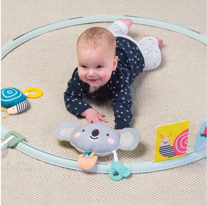 Actual product image Taf Toys Activities Hoop All Around Me