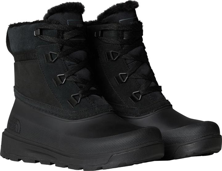 Actual product image North Face Shellista V Shorty WP (40)