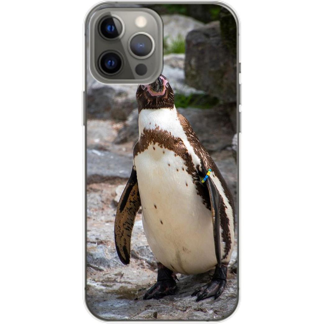König Design Hülle Handy Schutz für Apple iPhone 14 Pro Max Case Cover Tasche Bumper Etuis (Apple iPhone 14 Pro Max), Sm...