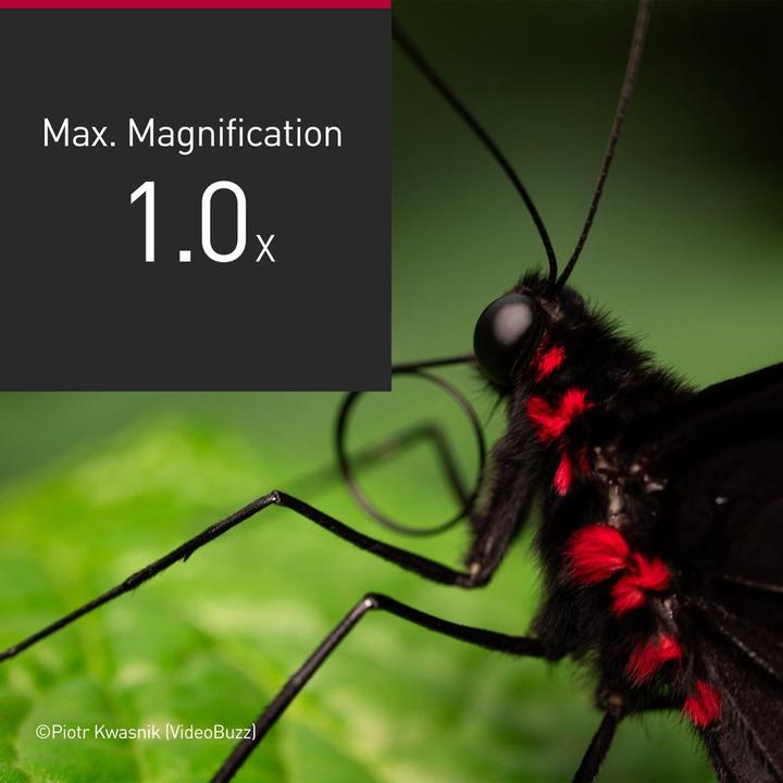 Produktbild Panasonic Lumix S-E100E 100mm f/2.8-22 Makro (L-Mount, Vollformat)