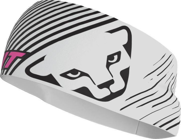 Actual product image Dynafit Graphic Performance Stirnband