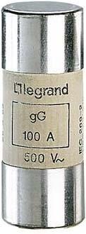 Actual product image Legrand Fuse (40 A)