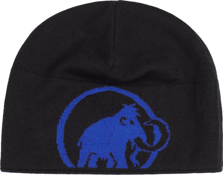 Actual product image Mammut Logo Beanie (One size)